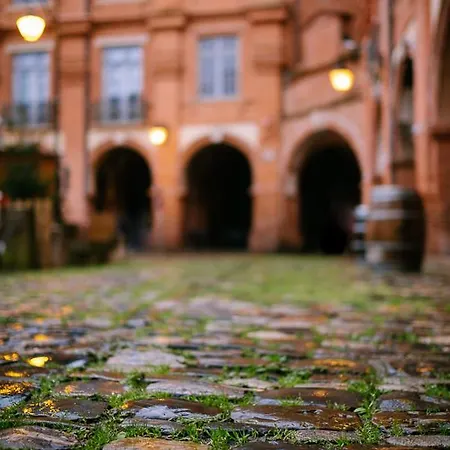 Five - Parking, Balneotherapie, Place Nationale, Un Havre De Paix Apartman Montauban