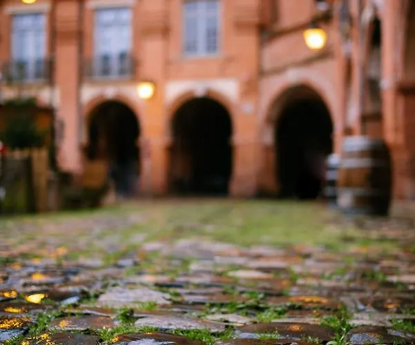 Five - Parking, Balneotherapie, Place Nationale, Un Havre De Paix Apartament Montauban