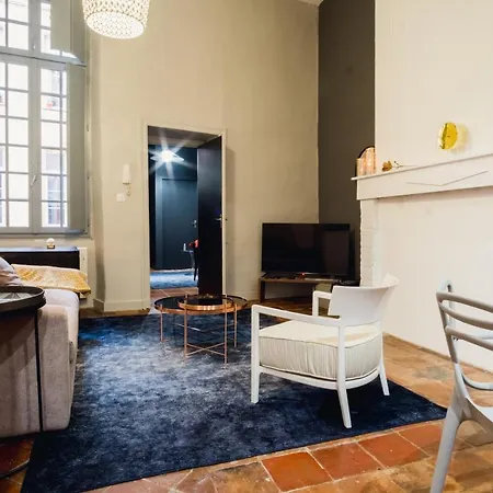 Apartament Five - Parking, Balneotherapie, Place Nationale, Un Havre De Paix Montauban